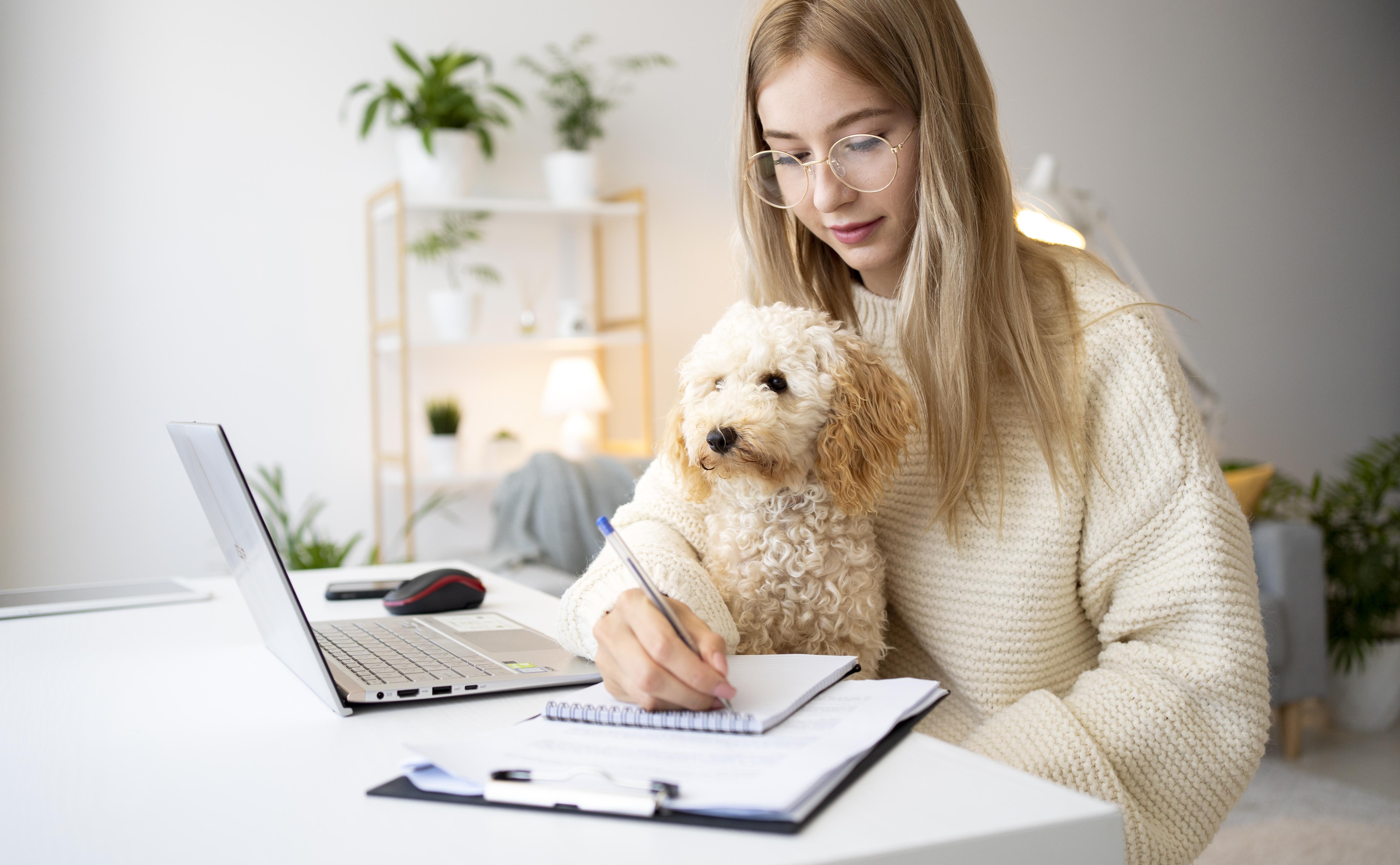 5 cuidados esenciales para perros en verano
